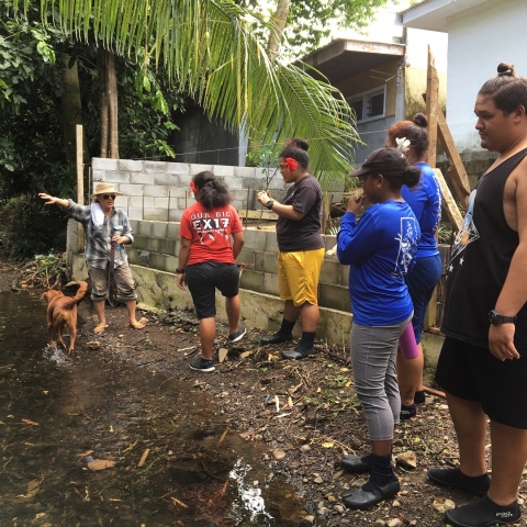 Five students and one teacher stand along the edge of water learning about the environment.