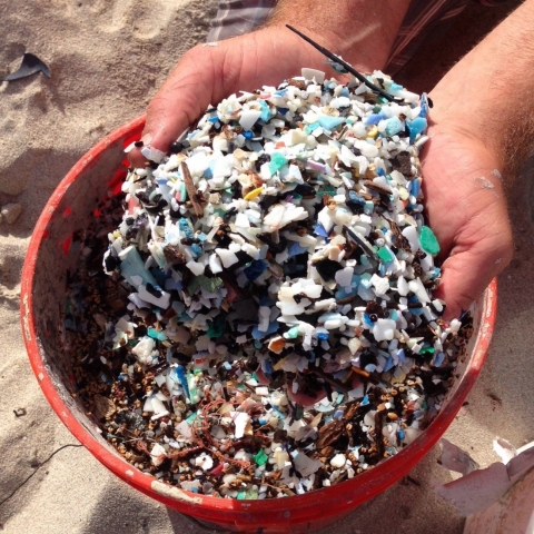 A bucket of microplastics with two hands holding a pile of microplastic over the bucket.