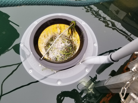 A Seabin litter cleanup device installed in a lake marina.