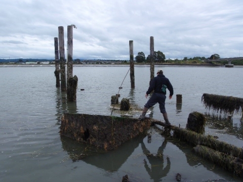 A person walking on and examining marine railways and pilings slated for removal.