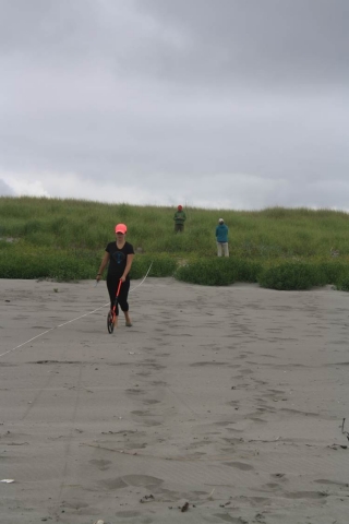 The team surveys Klipsan Beach, WA.