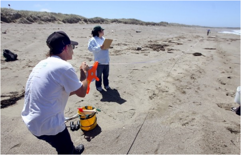 People using a tape measure while monitoring a beach.