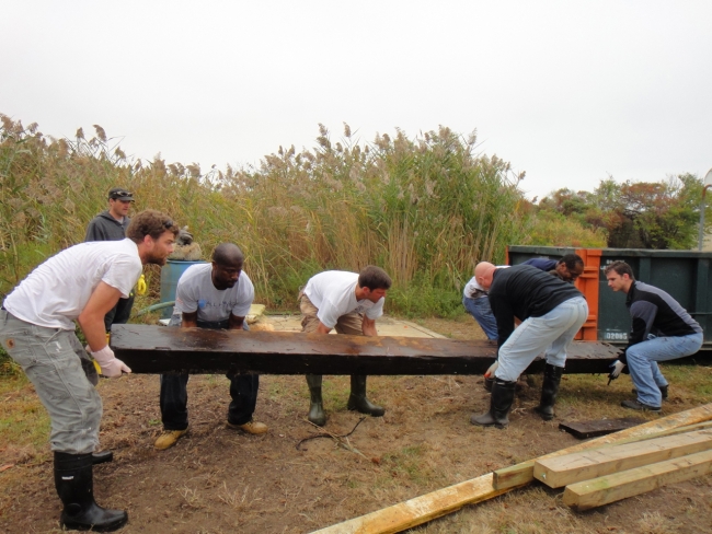 Volunteers carrying lumber through a marsh.