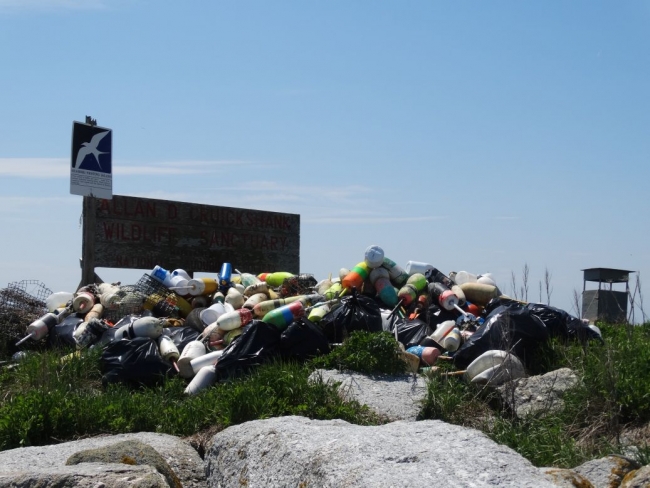 Plastic debris and other trash in a pile near a sign reading "Allan D. Cruickshank Wildlife Sanctuary".