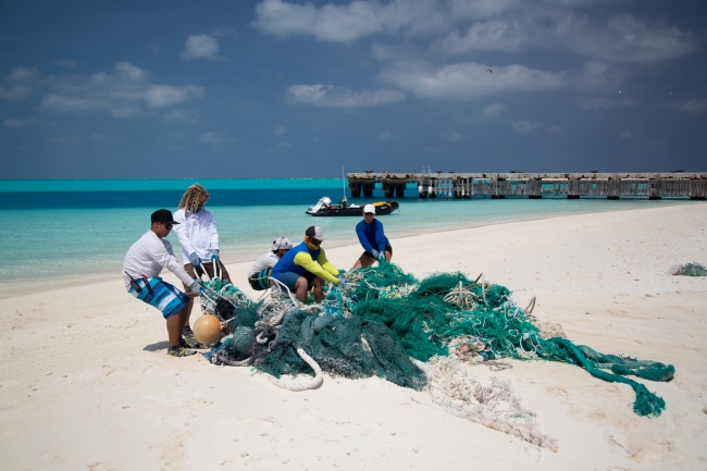 Derelict fishing net being removed. 