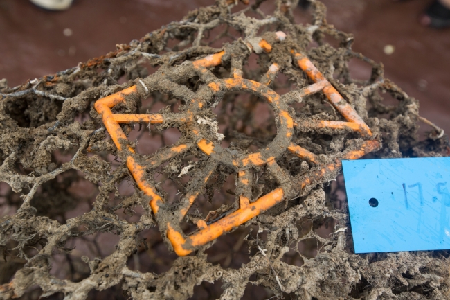 Quick release feature on a crab pot. 