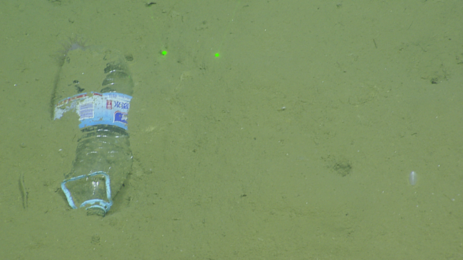 A plastic bottle on the bottom of the deep sea floor. 