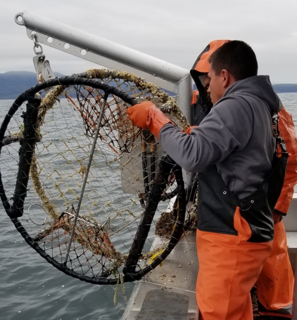 Fishers hoist a derelict crab pot on board a boat.