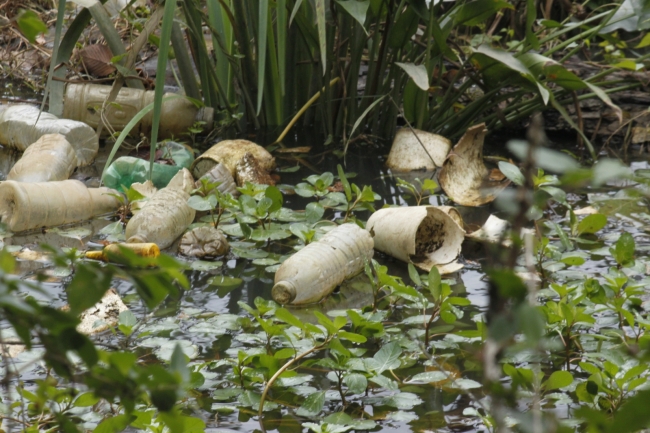 Several plastic bottles littered across the ground. 