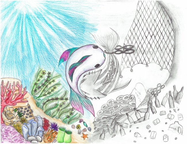 Heathy fish and plastic entangled fish in a yin yang.