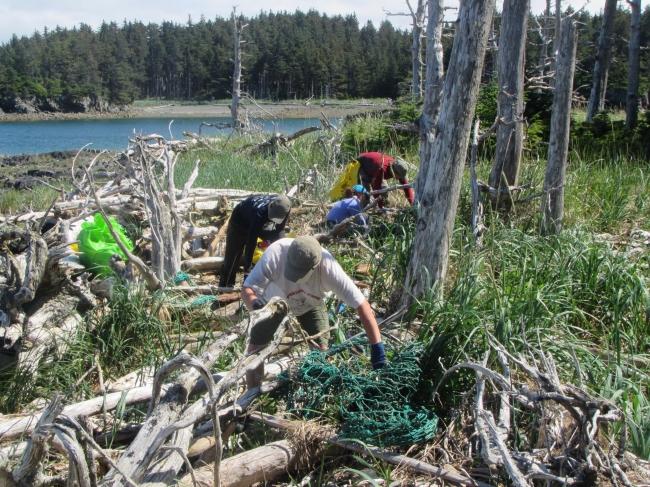 Volunteers picking up debris from a rugged coastline.