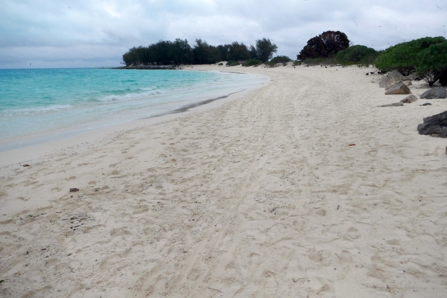 “After” the team cleaned up 2,256 pounds of marine debris from Sand Island, Midway Atoll National Wildlife Refuge.