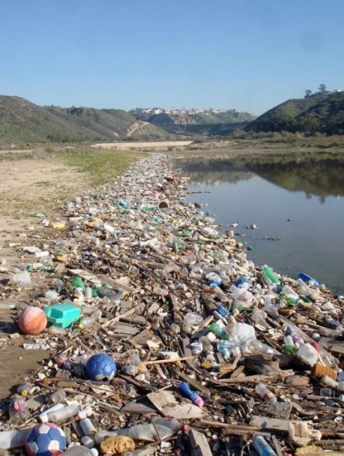 A littered shoreline in Goat Canyon Sediment Basin in the Tijuana River Valley.