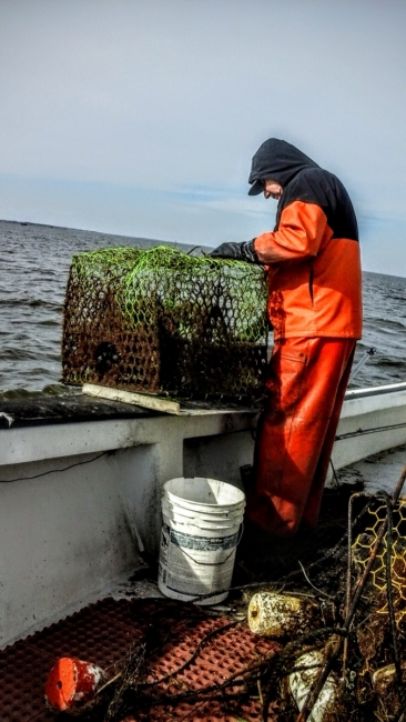 A fisher with a derelict crab pot on a boat.