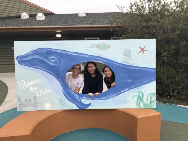 Students looking through a wooden whale cutout.