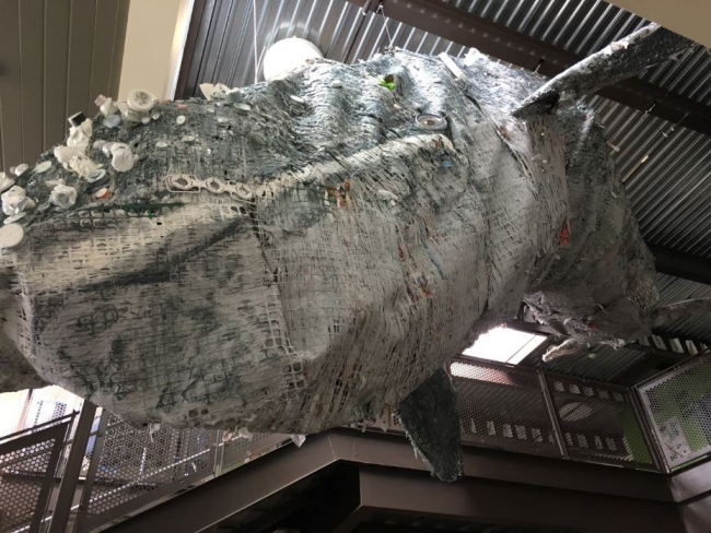 A large, hanging whale sculpture made of marine debris.