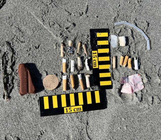Marine debris pieces laid out on a sandy beach next to 15 centimeter rules.