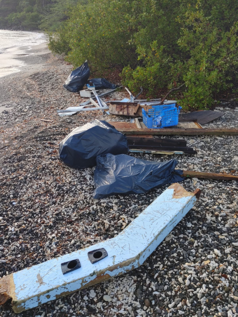 Marine debris along a shoreline.