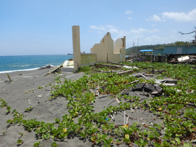 A collapsed structure near the water on the shore.