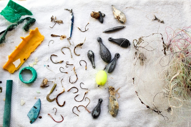 Removed plastic fragments, hooks, lead weights, and monofilament fishing line. 