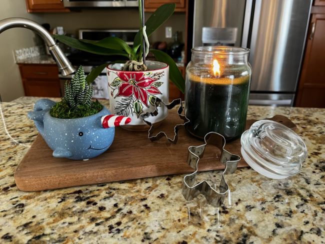 A kitchen countertop with a centerpiece display of an orchid, a cactus, some cookie cutters, and a candle burning.