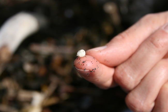 A persons holds a tiny, foam bead on the tip of their pointer finger.
