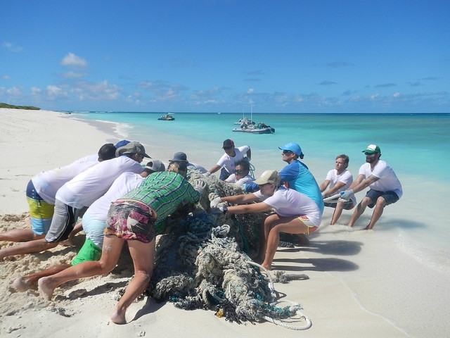 The marine debris team works collectively to drag a large conglomerate of nets from the shoreline of Lisianski Island.