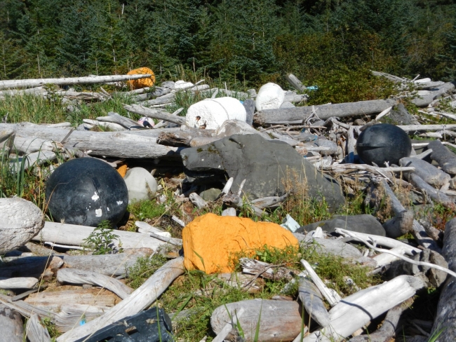  A shoreline located in Alaska is covered with marine debris and fallen logs.