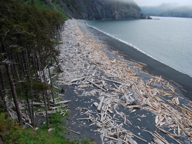 The South Beach of Gore Point on the Kenai Peninsula.