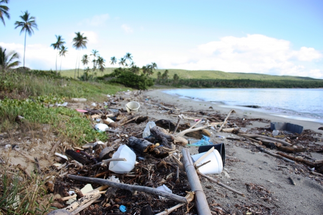 Marine debris on a Caribbean beach.