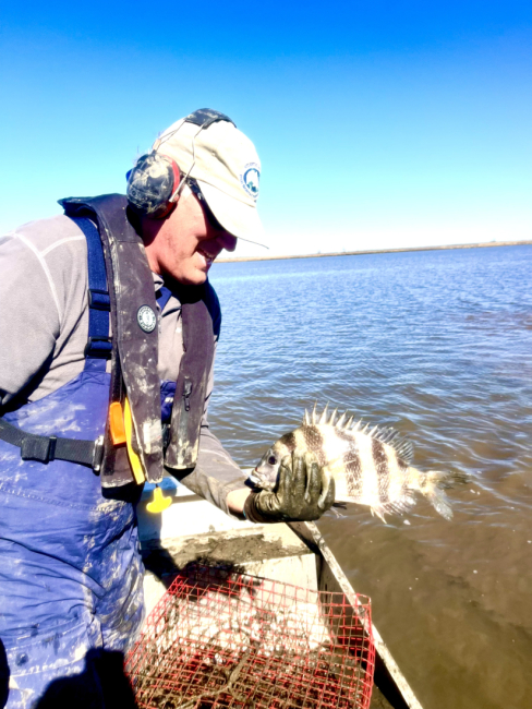 A person holding a fish he removed from a recovered abandoned trap.