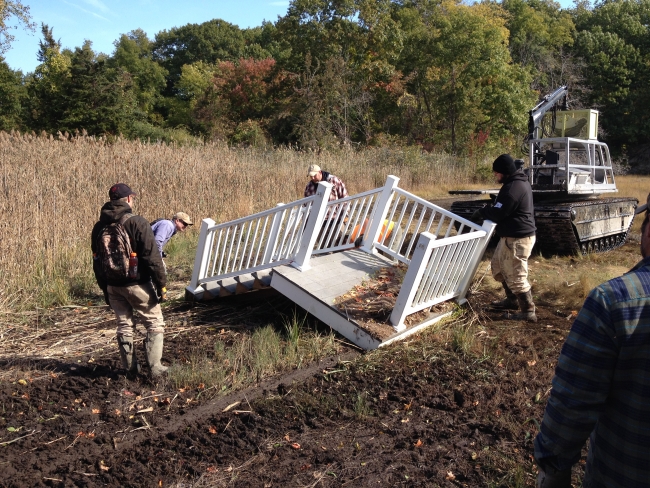 Volunteers moving a staircase from a marsh.