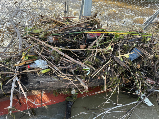 Sticks and other trash against a fence along a river. 