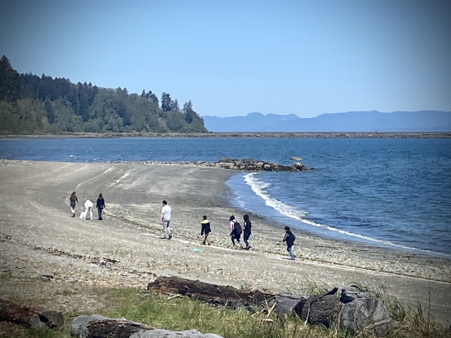 An aerial photo of the shoreline with volunteers picking up debris.