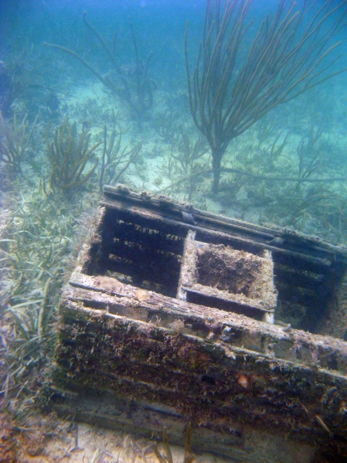 A derelict trap in the Florida Keys.
