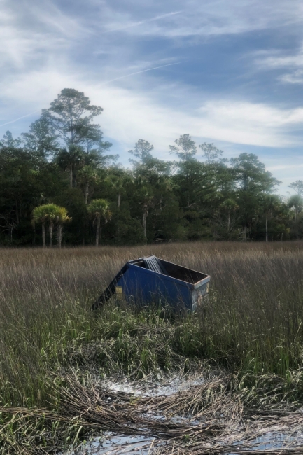 A dumpster submerged in a marsh. 