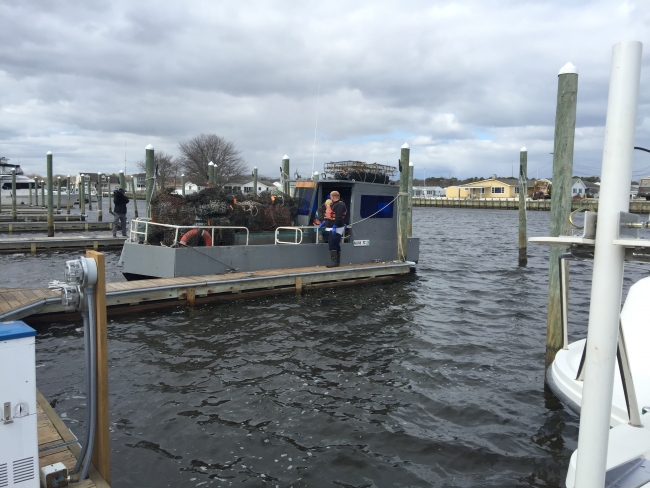 A boat loaded with derelict crab pots removed during Friday's event.