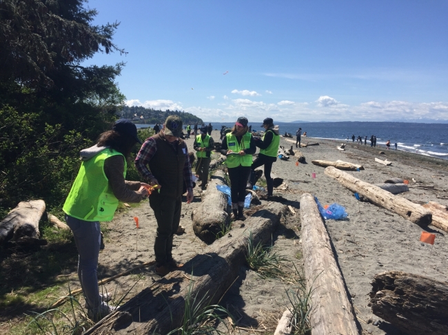 Several adults are looking at marine debris laying on a sandy beach. 