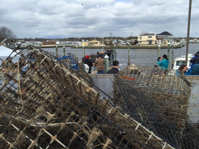 Event attendees observing a boat loaded with retrieved derelict crab pots.