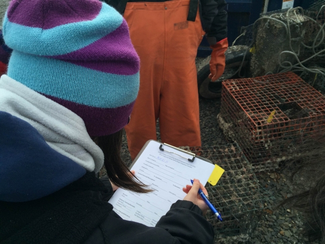 Students record data on a clipboard while observing a derelict crab pot.