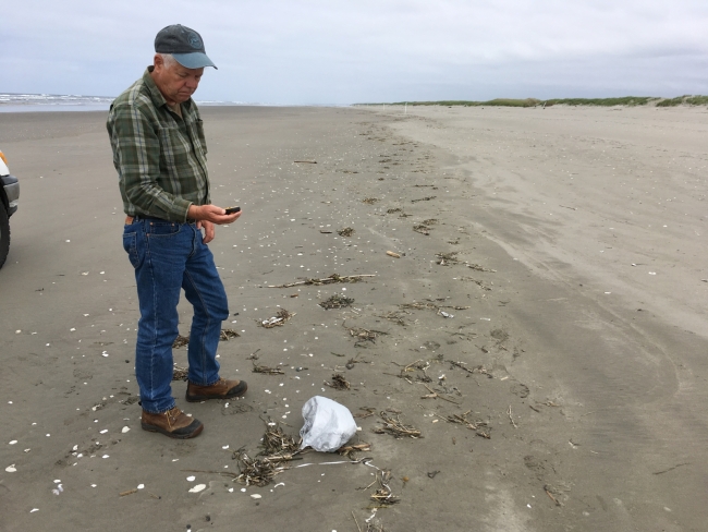 A person stands on a beach in Washington state looking down at a balloon. 