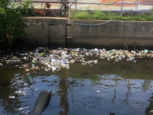 Plastic bottles and other consumer debris collecting on the surface of a waterfront in Washington, DC.