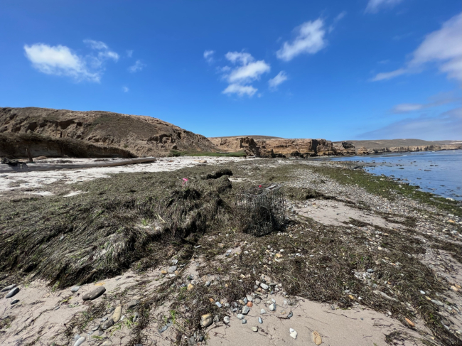A shoreline on Santa Rosa Island.