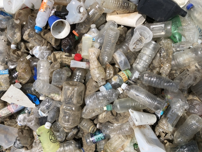 A pile of collected plastic water bottles.