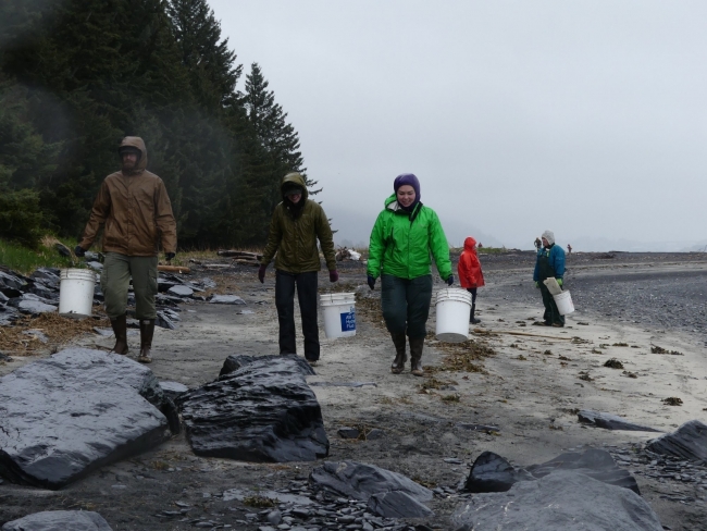 Community members cleaning shoreline. 