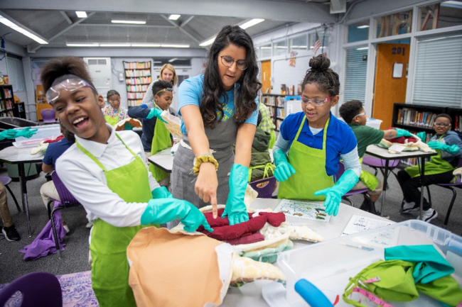 An instructor helps students to identify different turtle organs. 