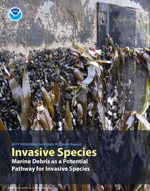 Cover of the Invasive Species: Marine Debris as a Potential Pathway for Invasive Species report.
