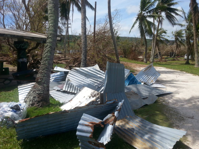 A pile of tin panels sit among trees on the ground after a storm.