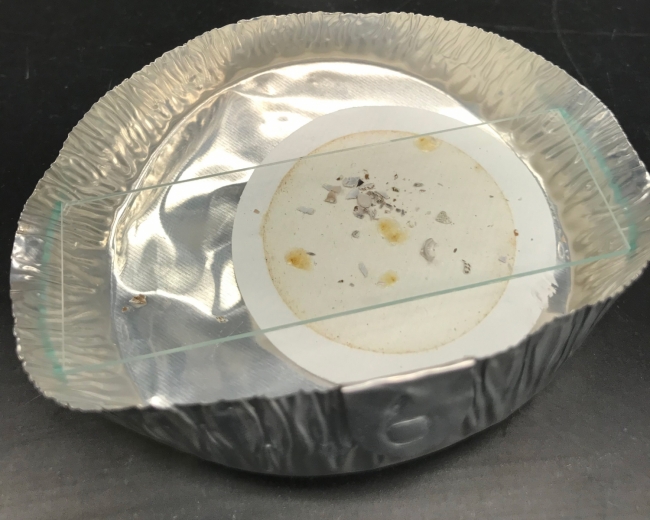 An environmental sample waiting for microplastic analysis.