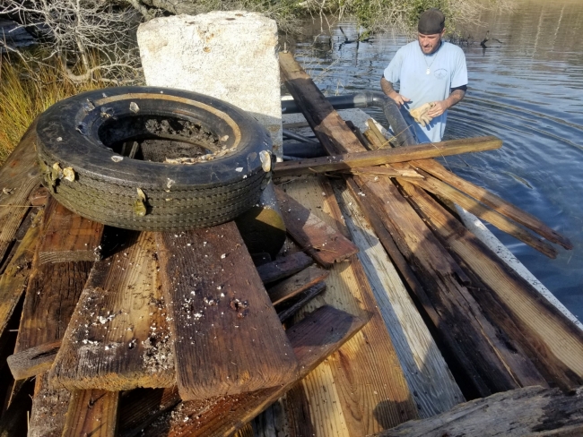 A field worker collects a large amount of marine debris including pieces of docks and a tire. 
